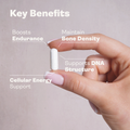 Image 4 for Calcium Alpha Keto-Glutarate (AKG) 500mg x 60 Capsules