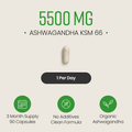 Image 3 for Ashwagandha KSM-66 - 5500mg Root Equivalent per Capsule - 90 Vegan Capsules