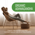 Image 4 for Ashwagandha KSM-66 - 5500mg Root Equivalent per Capsule - 90 Vegan Capsules