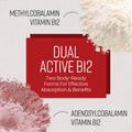 Image 5 for Methylated Vitamin B12 Tablets Dual Active - 1000mcg - 60 Tablets