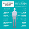 Image 5 for Collagen Peptides Capsules 240 caps