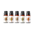 Image 1 for Autumn Fragrance Oil Set - 5 x 10ml Scents For Fall / Winter
