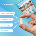 Image 5 for Mushroom 6 In 1 Complex Capsules Lions Mane  1755mg  60 Capsules