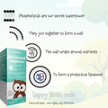 Image 3 for - Kids Liposomal Magnesium - Candy Floss Flavoured Liquid