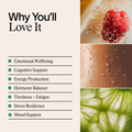 Image 2 for Enhanced Nootropics 60 Capsules