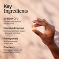 Image 3 for Enhanced Synbiotic 60 Capsules