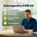 Image 4 for Ashwagandha KSM-66 High Strength 300mg Vitamin B5 & B6, 90 Capsules