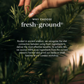 Image 5 for Organic Chaste Tree (Agnus Castus)