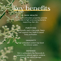 Image 3 for Organic Neem Leaf