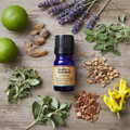 Image 2 for Calming Essential Oil Blend | 5ml