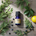 Image 2 for Defence Essential Oil Blend | 5ml