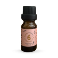 Image 1 for Rosemary Essential Oil 10ml - Organic – Hair & Scalp Care Aromatherapy