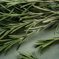 Image 4 for Rosemary Essential Oil 10ml - Organic – Hair & Scalp Care Aromatherapy