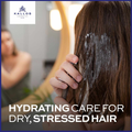 Image 4 for Cosmetics KJMN Blueberry Extract Revitalising Hair Mask, for Dry, Damaged and Chemically Treated Hair, Deeply Hydrates, Nourishes the Scalp, Enhances Shine and Texture with Avocado Oil 1L