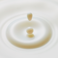 Image 2 for Oat PDRN Gentle Refining Toner 200ml