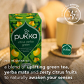 Image 4 for Uplift Citrus, Yerba & Green Tea 20 Sachets