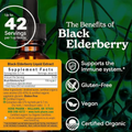 Image 3 for Black Elderberry, Alcohol-Free 30ml Organic
