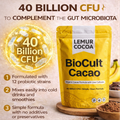 Image 4 for BioCult Cacao_Organic Cacao Powder with Live Cultures 300g