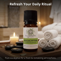 Image 2 for Officinale Eucalyptus Essential Oil - Pure Food Grade Eucalyptus Essential Oil for Diffusers and Humidifiers for Aromatherapy, Vegan and Pure Organic Formula - 10 ml