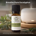 Image 3 for Officinale Eucalyptus Essential Oil - Pure Food Grade Eucalyptus Essential Oil for Diffusers and Humidifiers for Aromatherapy, Vegan and Pure Organic Formula - 10 ml