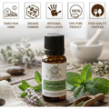 Image 2 for Officinale Peppermint Essential Oil - Food Grade Peppermint Essential Oil for Diffusers, Humidifiers and Aromatherapy, Vegan and Pure Organic Formula - 10 ml