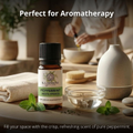Image 3 for Officinale Peppermint Essential Oil - Food Grade Peppermint Essential Oil for Diffusers, Humidifiers and Aromatherapy, Vegan and Pure Organic Formula - 10 ml