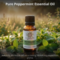 Image 4 for Officinale Peppermint Essential Oil - Food Grade Peppermint Essential Oil for Diffusers, Humidifiers and Aromatherapy, Vegan and Pure Organic Formula - 10 ml