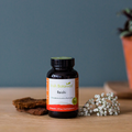Image 2 for Reishi Mushrooms - 60 Capsules