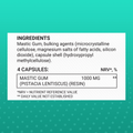 Image 5 for Mastic Gum 120 Capsules