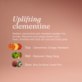 Image 5 for Anti-Bac Hand Wash Uplifting Clementine 400ml