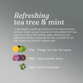 Image 4 for Clarifying Shampoo for Oily Hair Refreshing Tea Tree & Mint 5L Refill