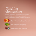 Image 4 for Anti-Bac Hand Wash Uplifting Clementine 5L Refill