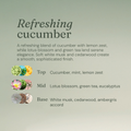 Image 4 for Hand Wash Calming Cucumber 5L Refill