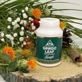 Image 2 for Ginkgo Leaf Food Supplement 120 Capsules