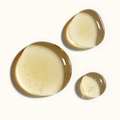 Image 3 for Castor & Camellia Root Renewal Hair Oil 100ml