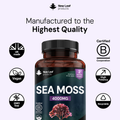 Image 4 for Sea Moss High Strength Supplement 4000mg per serving- 120 Tablets | Vegan