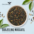 Image 3 for Darjeeling Muscatel - Loose Leaf Black Tea - 250g Refill Pack