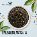 Image 3 for Darjeeling Muscatel - Loose Leaf Black Tea - 125g Tin Caddy