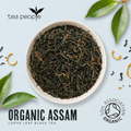 Image 3 for Organic Assam - Loose Leaf Black Tea - 100g Tin Caddy