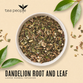 Image 3 for Dandelion Root and Leaf - Loose Leaf Herbal Tea - 125g Tin Caddy