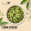 Image 3 for Lemon Verbena - Loose Leaf Herbal Tea - 30g Tin Caddy