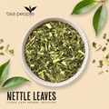 Image 3 for Nettle Leaves - Loose Leaf Herbal Tea - 60g Tin Caddy