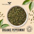 Image 3 for Organic Peppermint  - Loose Leaf Herbal Tea - 60g Tin Caddy