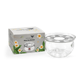 Image 1 for Glass Tea Warmer with Stainless Steel base
