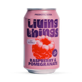 Image 3 for Raspberry & Pomegranate 4x330ml