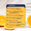 Image 3 for Multivitamin Liquid 300ml