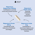 Image 2 for Magnesium Complex 4in1 Glycinate Citrate, Malate, Oxide 120 Capsules