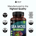 Image 5 for Irish Sea Moss Complex with Bladderwrack & KSM Ashwagandha - 120 Capsules