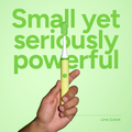 Image 3 for Sonic Edge Lime Sorbet