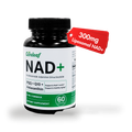 Image 1 for careleaf NAD+ Capsules 60 Capsules
